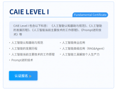 好比CAIE注册人工智能工程师认证（简称“赛一”